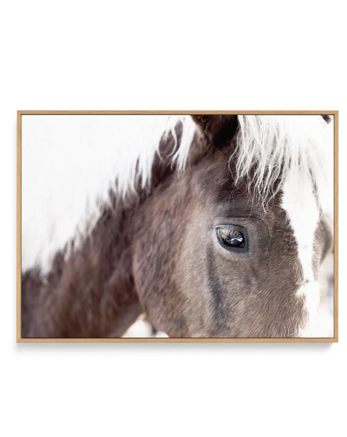 Aiko | Brown Horse | Framed Canvas Art Print