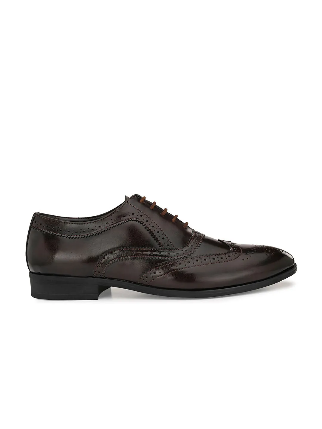 Brit Boy Shortwing Brogues