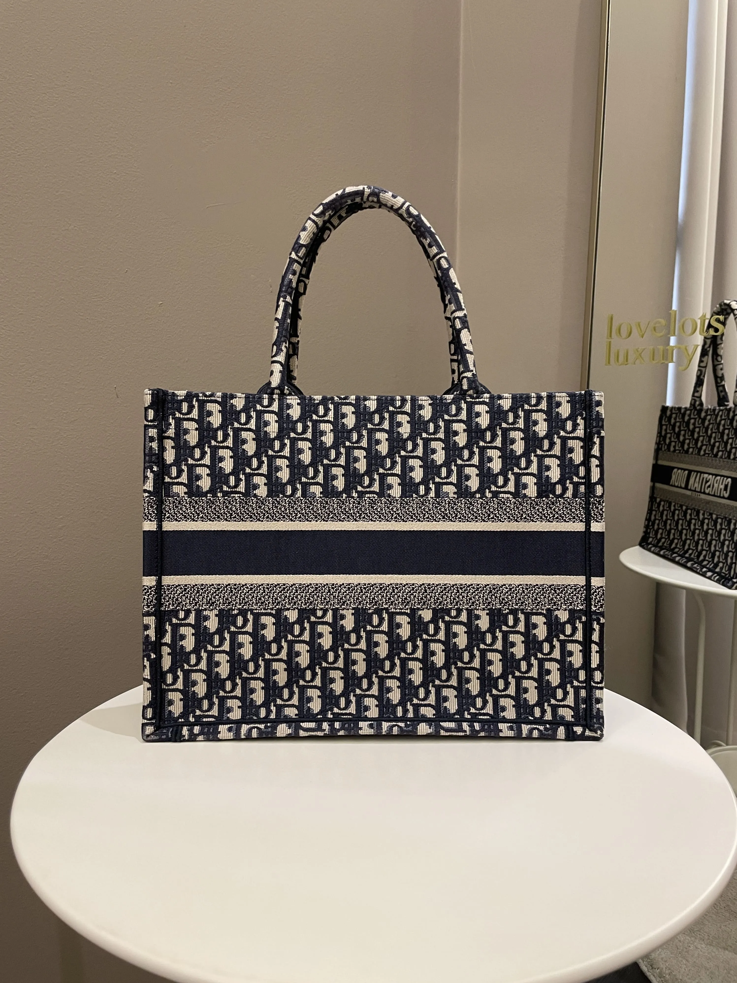 Dior Toile De Jouy Book Tote Blue Oblique