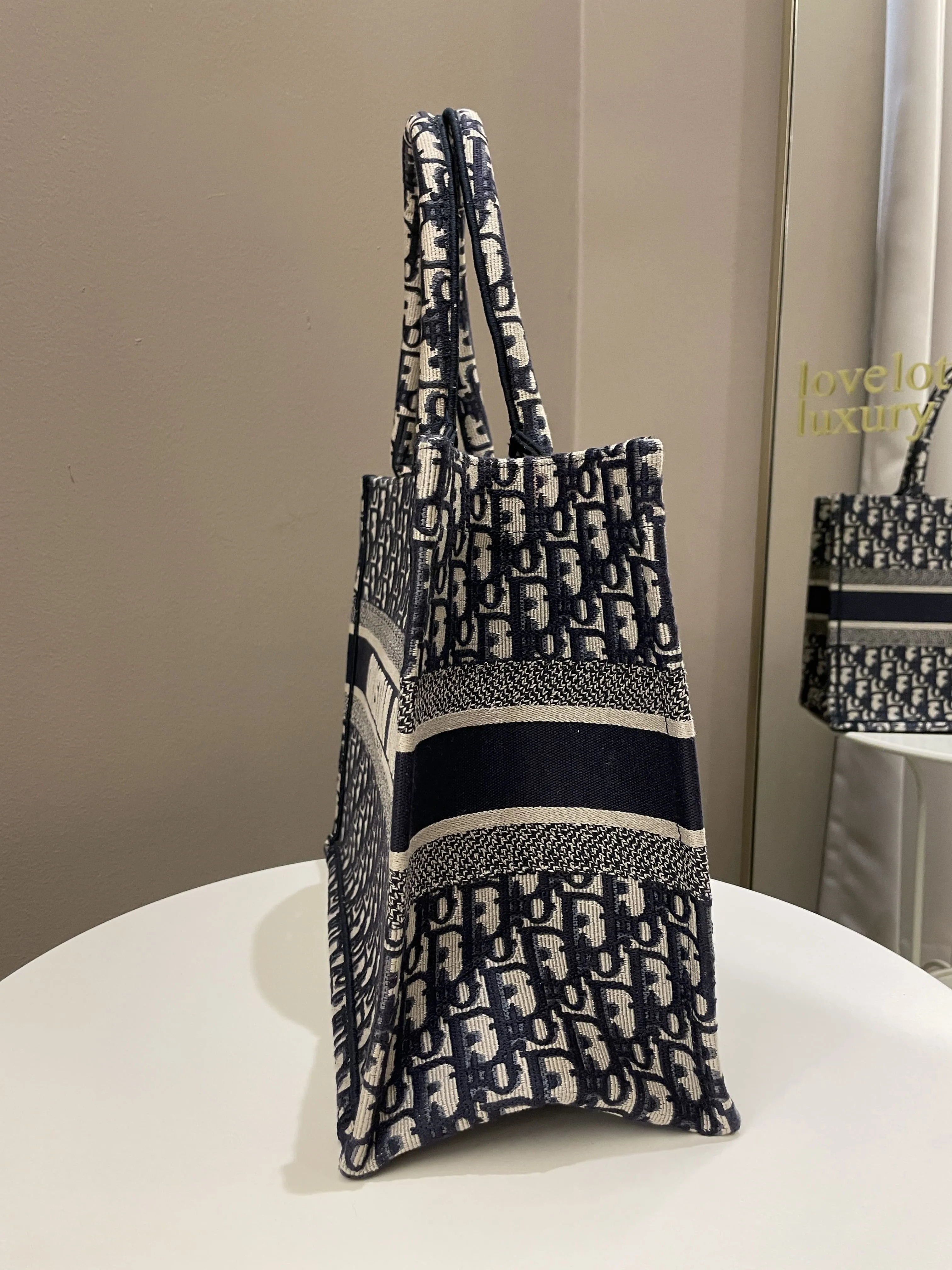 Dior Toile De Jouy Book Tote Blue Oblique