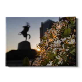 Florida State Seminoles - Unconquered Sunset