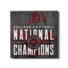 Georgia Bulldogs - Back-to-Back National Champions